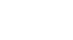 Logo Pellizzer Site - Branco